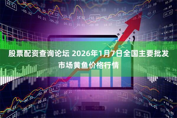 股票配资查询论坛 2026年1月7日全国主要批发市场黄鱼价格行情