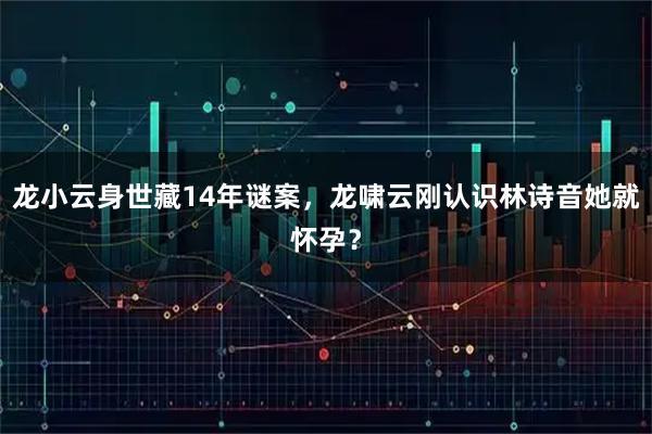 龙小云身世藏14年谜案，龙啸云刚认识林诗音她就怀孕？