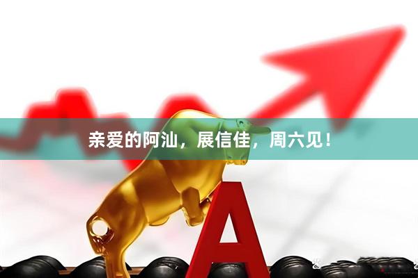 亲爱的阿汕，展信佳，周六见！